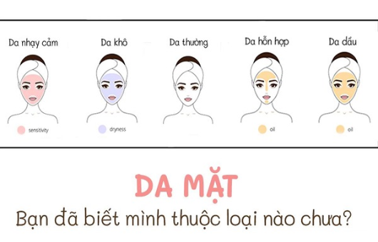 Các loại da phổ biến